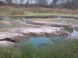 污水水質指標 污水水質指標