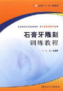 石膏牙雕刻訓練教程 石膏牙雕刻訓練教程