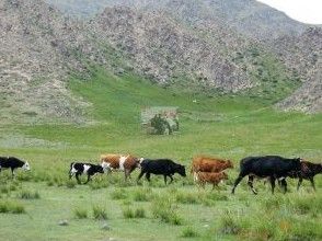 祁連山國家自然保護區