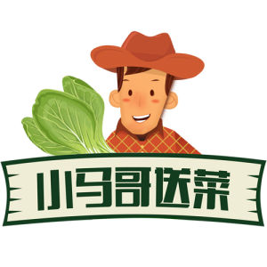 小馬哥送菜 小馬哥送菜