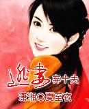 逃妻棄十夫 逃妻棄十夫