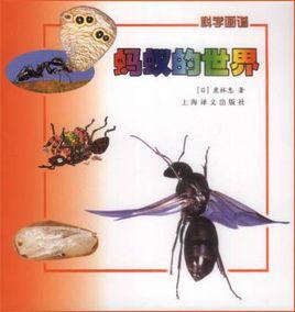 螞蟻的世界 螞蟻的世界