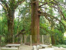 廬山[中華十大名山之一]