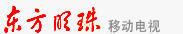 上海東方明珠移動電視有限公司 上海東方明珠移動電視有限公司