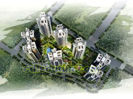 凱麗美域 凱麗美域