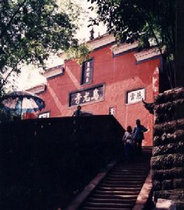 樂山市崖墓博物館