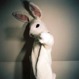 兔子包包 兔子包包