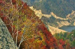 西塞國森林公園