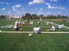 里賈納大學橄欖球隊