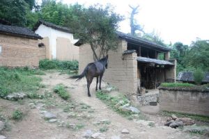 小瓦佐村 小瓦佐村