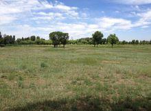 1平方公里的海則完全消失了