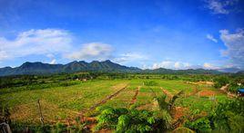 保國農場 保國農場