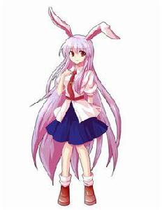 鈴仙·優曇華院·因幡 鈴仙·優曇華院·因幡