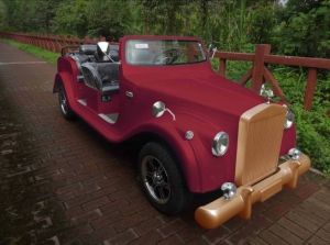 跑車式看房車婚車