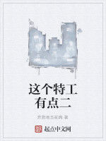這個特工有點二 這個特工有點二