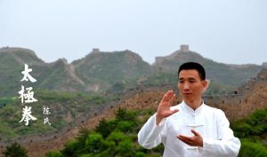 陳氏太極拳老架一路 陳氏太極拳老架一路