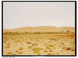 巴音溫都爾沙漠 巴音溫都爾沙漠