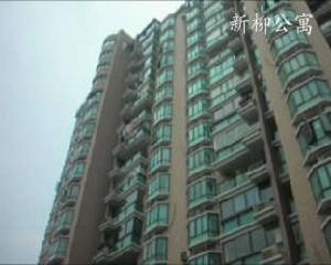 新柳公寓 新柳公寓