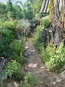 那蘇自然村 那蘇自然村