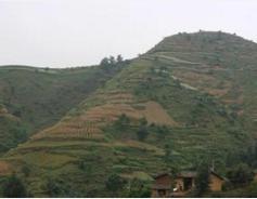 火燒寨村[雲南曲靖市會澤縣迤車鎮下轄村]