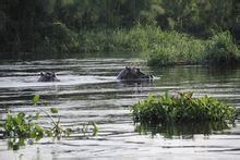 尼穆萊國家公園 尼穆萊國家公園