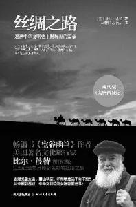 絲綢之路[四川文藝出版社出版圖書]