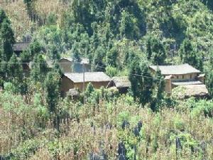 黃家洞子自然村 黃家洞子自然村