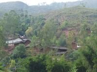 沐香花樹自然村 沐香花樹自然村