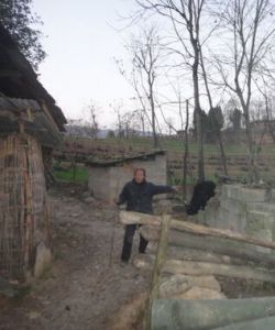 哈不庸村 哈不庸村