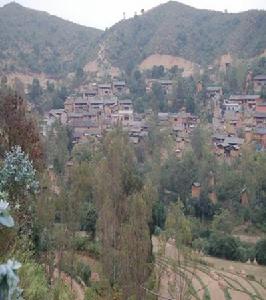 老悟懂村 老悟懂村