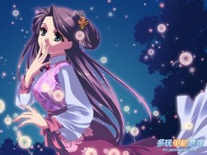 林黛玉與北靜王