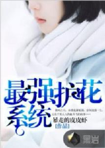 最強護花系統 最強護花系統