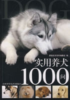 實用養犬1000問 實用養犬1000問