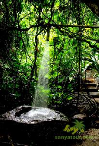 呀諾達熱帶雨林奇景