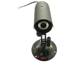 雙巧星大水牛 雙巧星大水牛