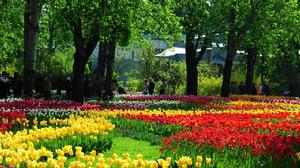 北京植物園 北京植物園