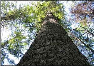 南瓮河國家級自然保護區