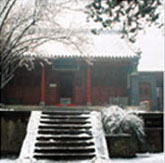 泰山王母池 泰山王母池