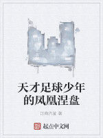 天才足球少年的鳳凰涅盤