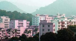 白花社區 白花社區