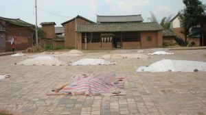 古渡莊村 古渡莊村