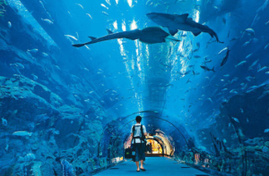 秦皇島新澳海底世界