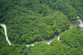 梁平百里竹海景區 梁平百里竹海景區