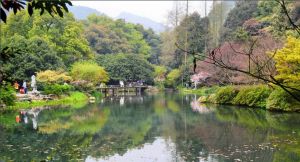 九溪十八澗 九溪十八澗