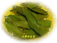 肉桂葉