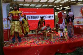 成都年豬文化節 成都年豬文化節