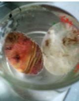 愛是一條彎彎的河 愛是一條彎彎的河