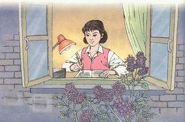 一株紫丁香 一株紫丁香