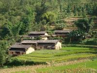 老灣沖村 老灣沖村