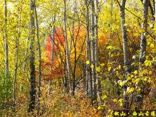 松山國家森林公園